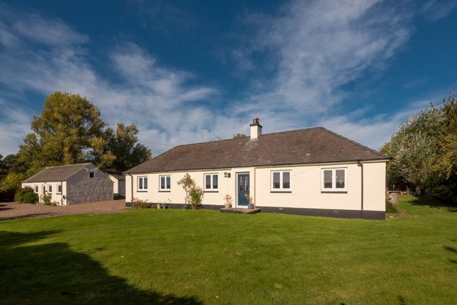 42, Boggs Holdings, Tranent photo 2