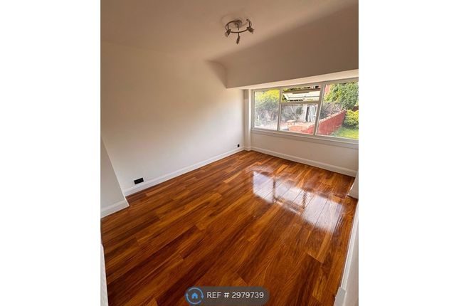 Widney Avenue, Birmingham photo 5