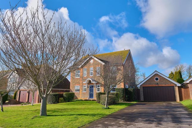 Thumbnail Detached house for sale in Crown Hill, Seaford