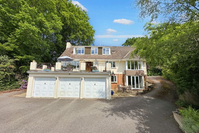 35, Park Homer Drive, Wimborne photo 3