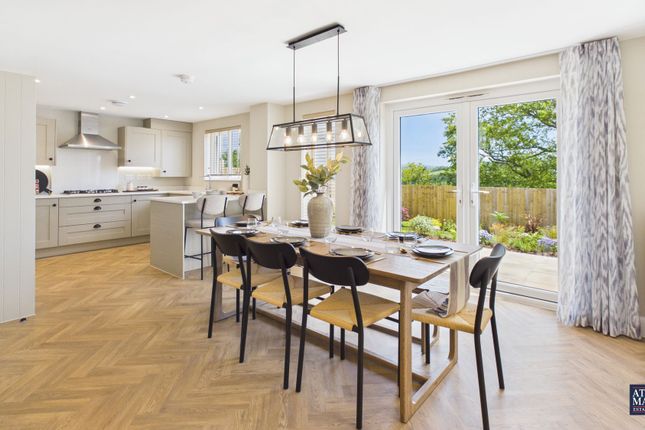 Plot 304 The Drake, Tavistock photo 3