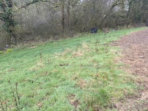 Land for sale in Bishops Nympton, South Molton