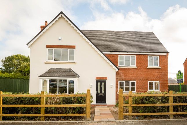 Thumbnail Detached house for sale in Willow Bank Meadows, Hengoed, Oswestry