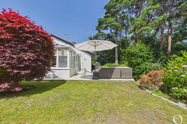 49, Ashwood Drive, Broadstone photo 4