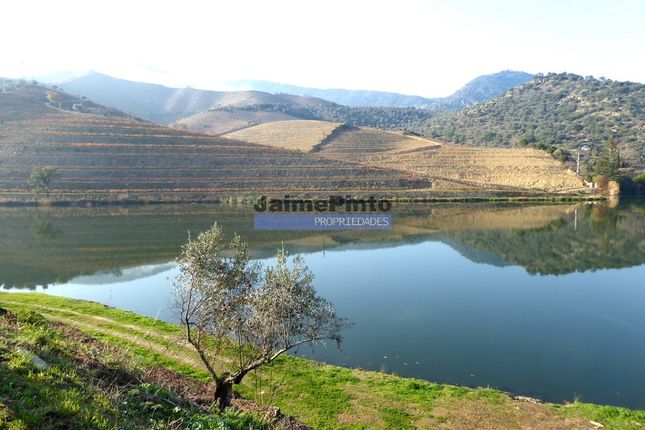 Thumbnail Hotel/guest house for sale in Ecotourism, Land, Project, In The Upper Douro, Portugal