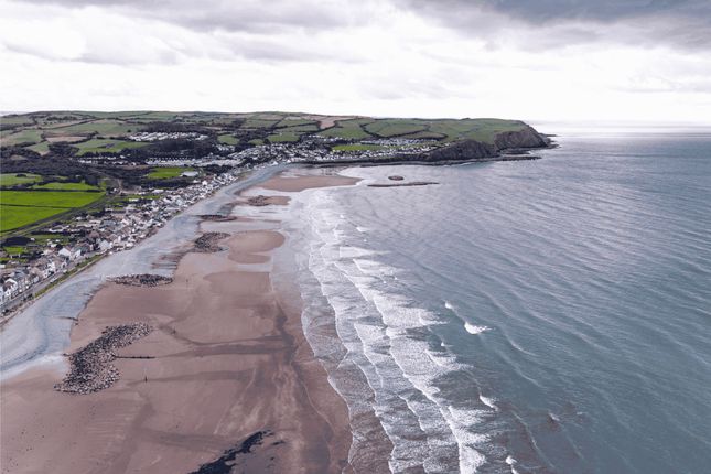 Ebb Tide, Borth photo 3
