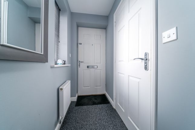 31 Charles Drive, Morpeth photo 4