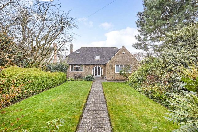 Thumbnail Bungalow for sale in Ashby Road East, Bretby, Burton-On-Trent, Derbyshire