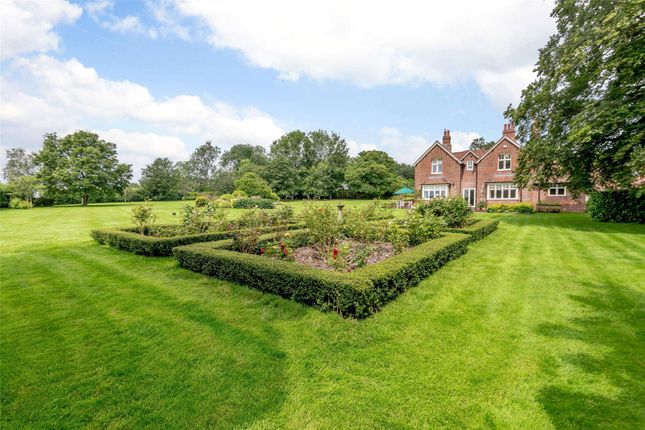 Thumbnail Detached house for sale in Frost Hill, Overton, Basingstoke, Hampshire