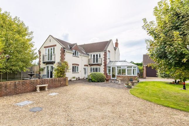 Thumbnail Detached house for sale in Polsham, Wells