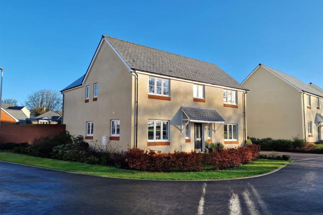 Thumbnail Property for sale in Willow Rise, Witheridge, Tiverton