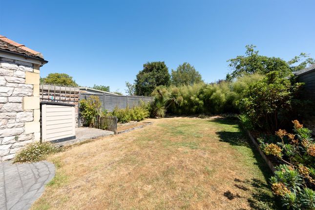 Garden 1.Jpg