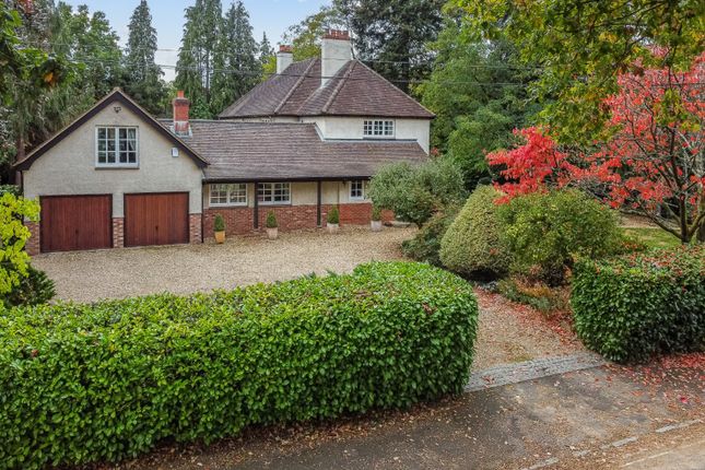 14, Middle Avenue, Surrey photo 2