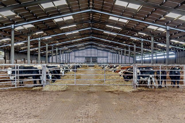 Trewothack - Lot 1