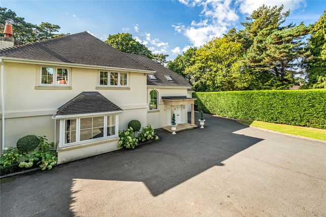 Thumbnail Detached house for sale in Grayshott, Surrey