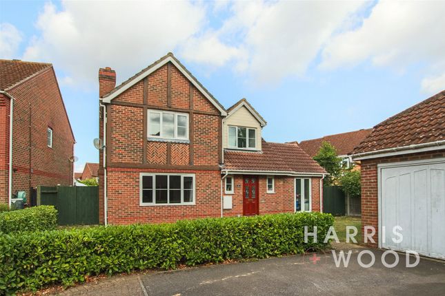 Thumbnail Detached house for sale in Cohort Drive, Colchester, Essex