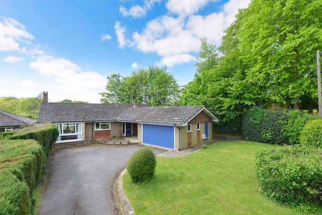 Thumbnail Detached bungalow for sale in Hermongers Lane, Rudgwick, Horsham