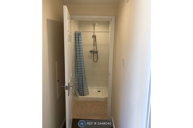 Downstairs Shower