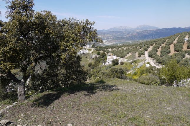 Land for sale in Fuente Del Conde, Andalucia, Spain