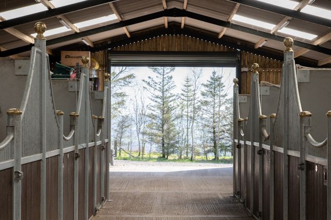 Stables