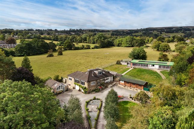 Dji_Fly_20250905_112804_0012_1757406646699_Photo-E