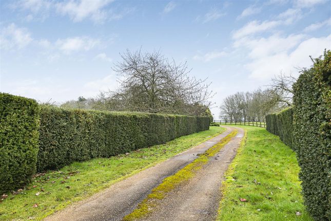 Detached house for sale in Rogues Lane, Elsworth, Cambridge