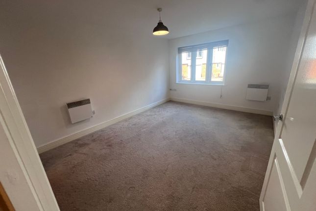 40, CANTERBURY photo 2