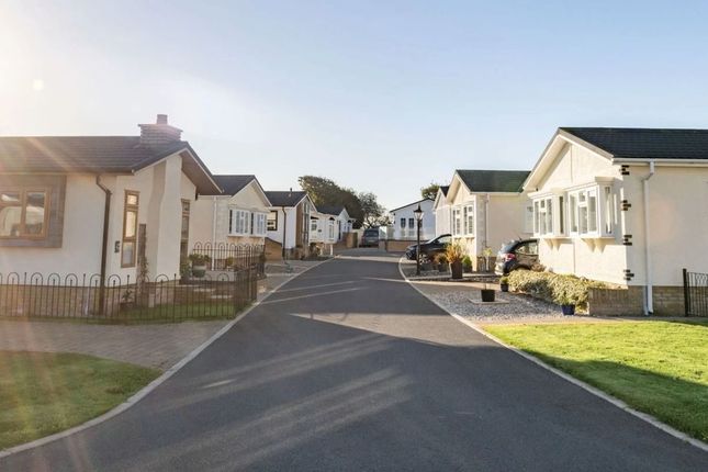 New and Pre-Owned Homes, Dolbeare Court, Saltash photo 4