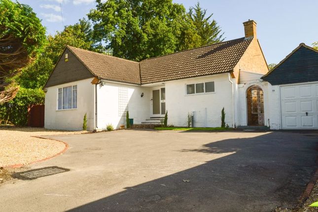 Thumbnail Detached bungalow to rent in Upper Park Road, Camberley