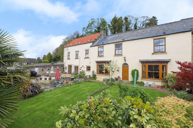Thumbnail Cottage for sale in Hillside, North Anston