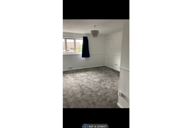 Valentine Court, Waterlooville photo 5