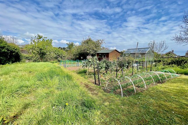Detached house for sale in Nut Tree Orchard, Brixham