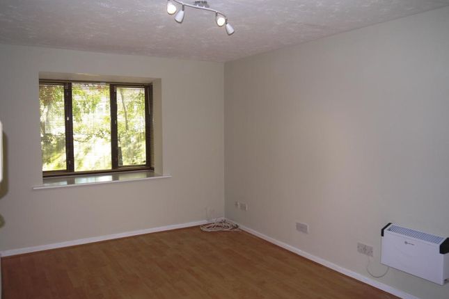 Thicket Grove, Anerley photo 3