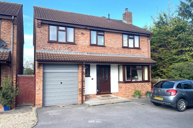 Thumbnail Detached house for sale in Meadow Close, Street