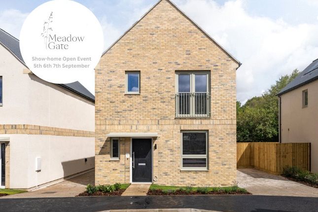 Plot 4, The Holt