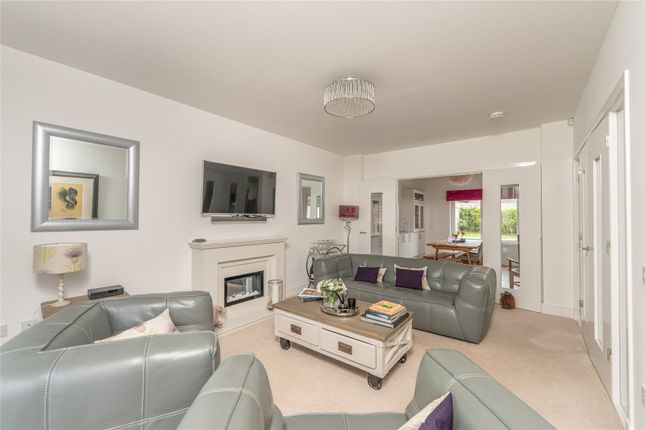 8, Tansy Street, Currie photo 4