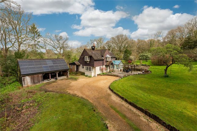 Thumbnail Detached house for sale in Weare Street, Ockley, Adorking, Surrey