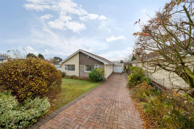 Thumbnail Detached bungalow for sale in Ocean View Close, Sketty, Swansea