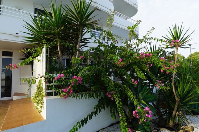 Apartment for sale in Port Des Torrent, Ibiza, Balearic Islands, Spain