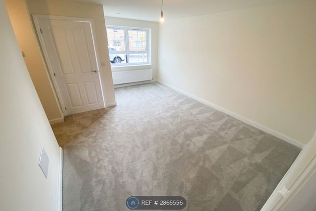 Daisy Lane, Newcastle Upon Tyne photo 5