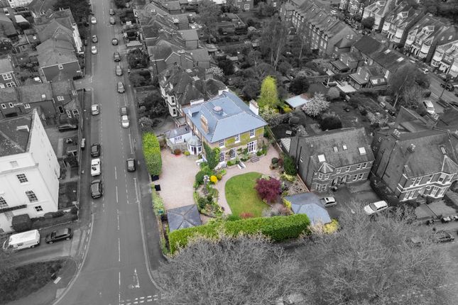 Aerial Shot