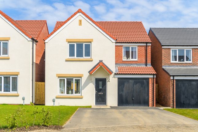 Thumbnail Detached house for sale in Puffin View, Amble, Northumberland
