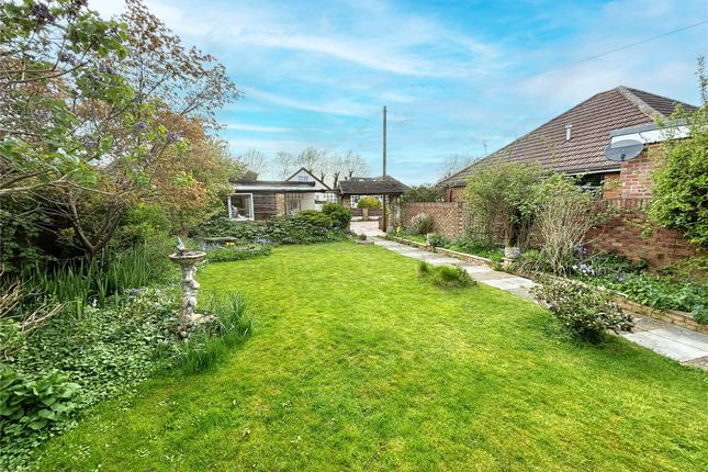 Thumbnail Bungalow for sale in Staines, Surrey