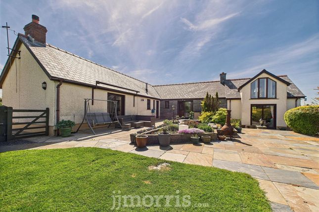 Tanyffynnon, Boncath photo 3