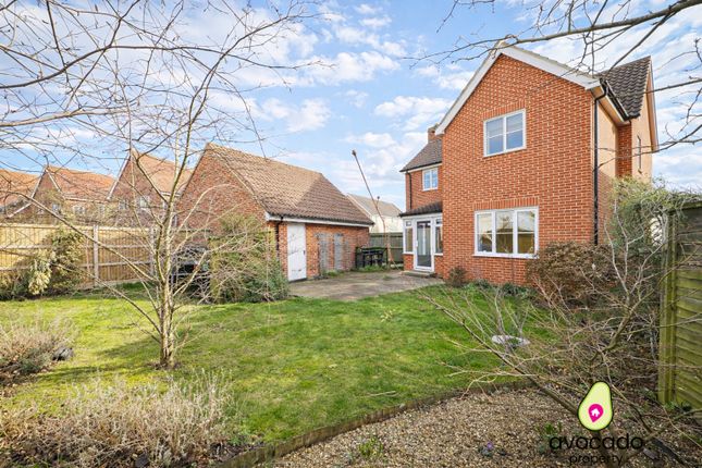 18, Wilson Road, Norwich photo 4