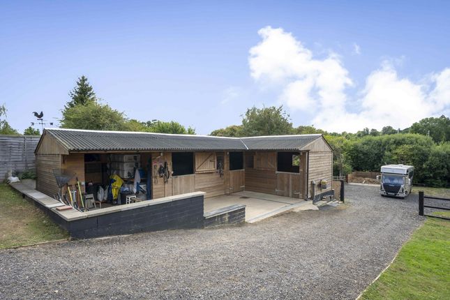 6, Waterford Common, Waterford, Hertfordshire photo 4