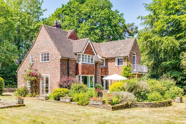 Thumbnail Detached house to rent in Green Lane, Churt, Farnham, Surrey