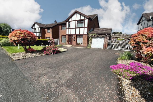 Thumbnail Detached house for sale in Holborn Hall, Lisburn