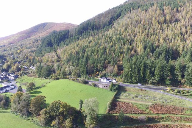 Brynteg, Machynlleth photo 3