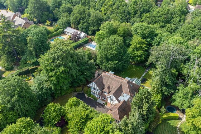 102, Gregories Road, Beaconsfield photo 4